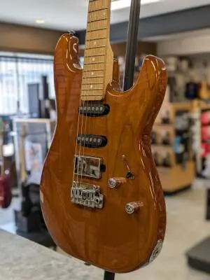 Store Special Product - Schecter - 701-SHC